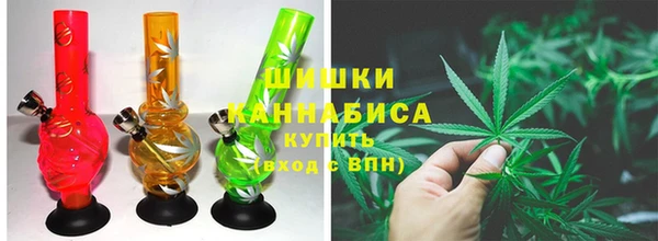 сатива Новодвинск