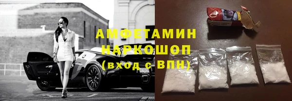 сатива Новодвинск