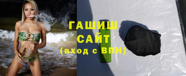 дживик Няндома