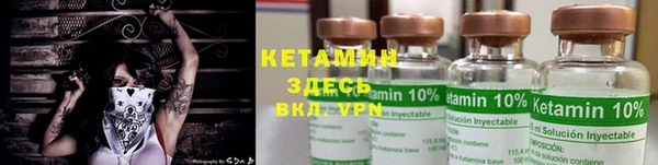 сатива Новодвинск