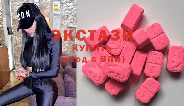сатива Новодвинск