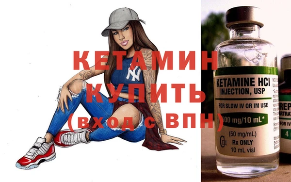 сатива Новодвинск