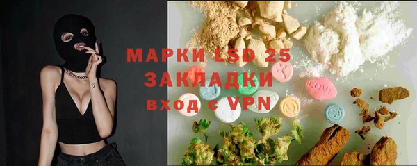 сатива Новодвинск