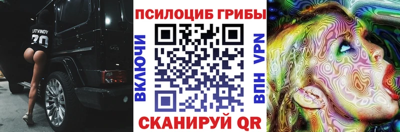 хочу наркоту  гидра   Галлюциногенные грибы Psilocybine cubensis  Олонец 
