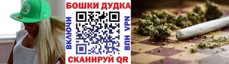Каннабис сатива  mega маркетплейс  Олонец 